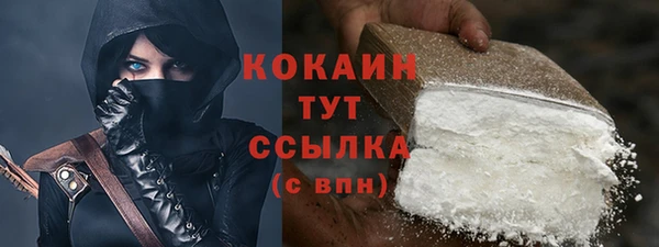 индика Зерноград
