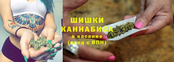 МДПВ Инсар