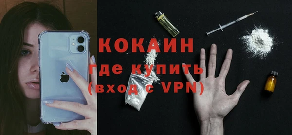 индика Зерноград