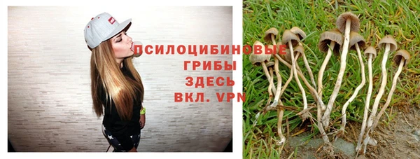 МДПВ Инсар