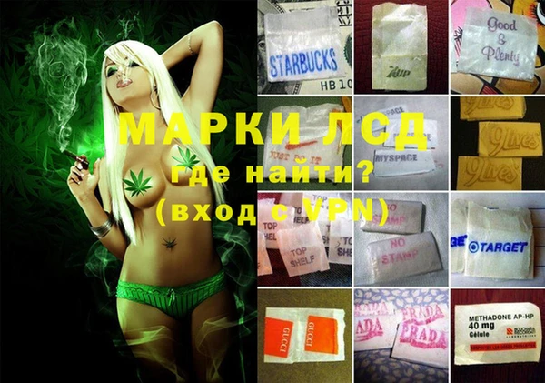 индика Зерноград