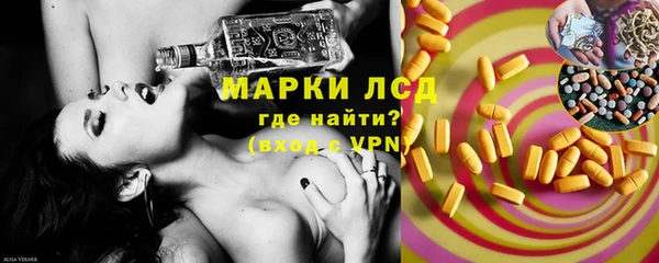 МДПВ Инсар